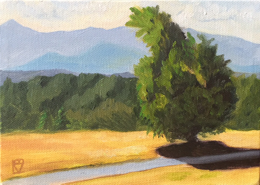 Landscape Study in Oil