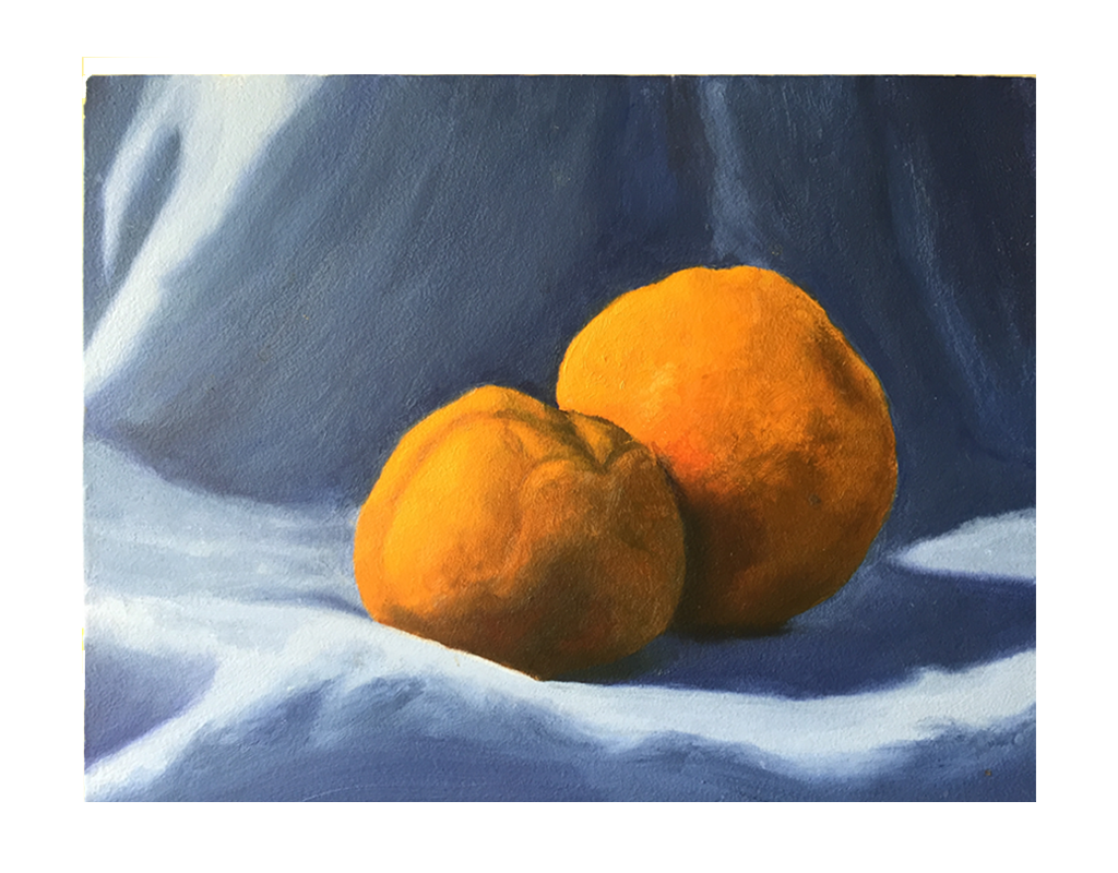 Still Life Study