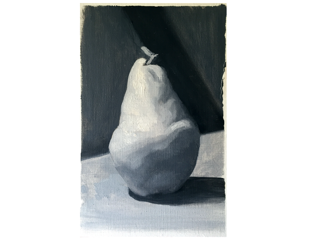 Still Life Study